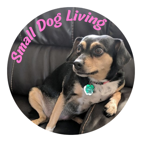 Small Dog Living Logo